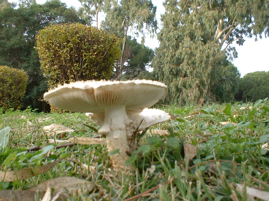 vittadini metropolitane